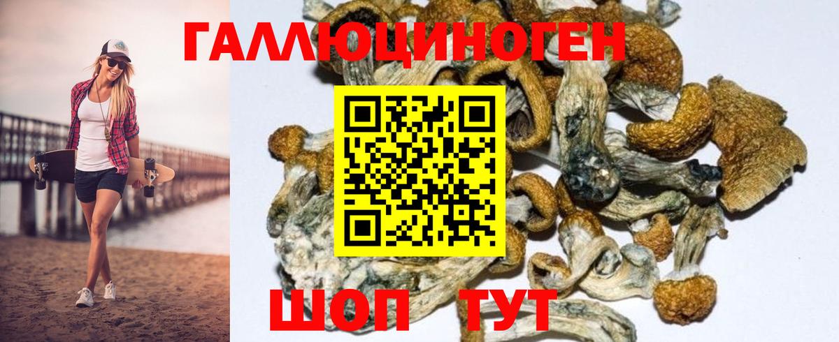 Черкесск  Галлюциногенные грибы Magic Shrooms  Вход с VPN  Псилоцибиновые грибы Cubensis 