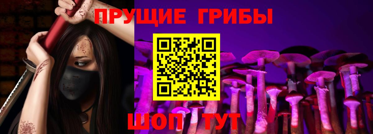 Псилоцибиновые грибы GOLDEN TEACHER Черкесск